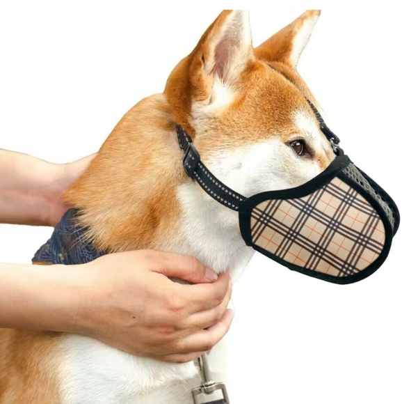 Dog Muzzle XL - Picture 1 of 4